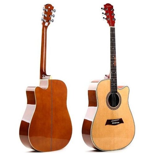 Акустическая гитара Deviser L-806 N