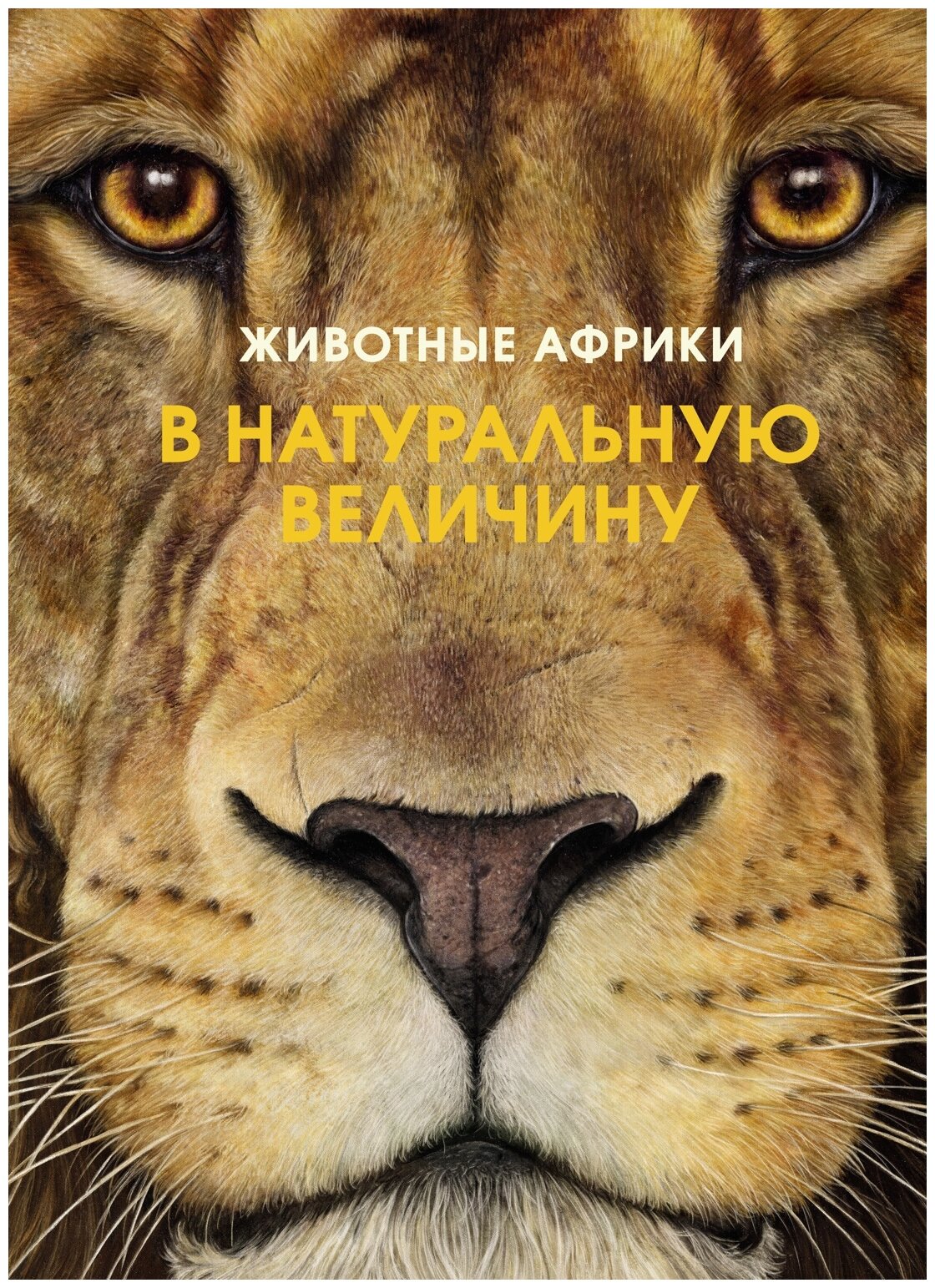 Хааг Х. "Животные Африки в натуральную величину"