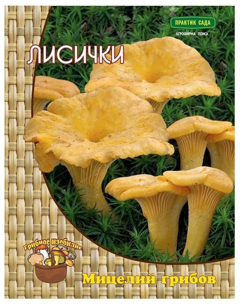 Лисички мицелий на компосте шт