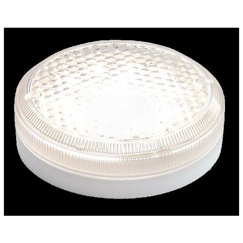 Светодиодный светильник ЖКХ ЛУЧ-220-С 123 Драйв (4000К)