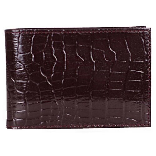 Визитница Геккон FT-WZ01-KR01 чер 00063621