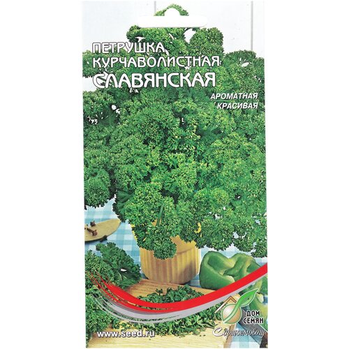 Петрушка курчаволистная Славянская, 460 семян петрушка курчаволистная кучерявец 620 семян