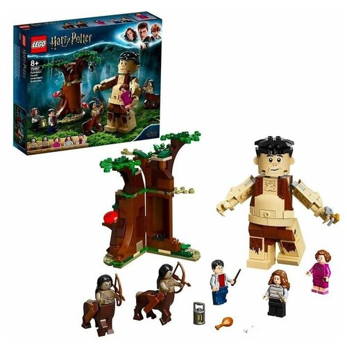 Конструктор Lego Harry Potter «Запретный лес: Грохх и Долорес Амбридж