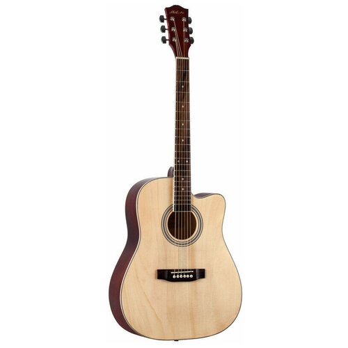 Акустическая гитара PHIL PRO AS-4104 N натурального цвета