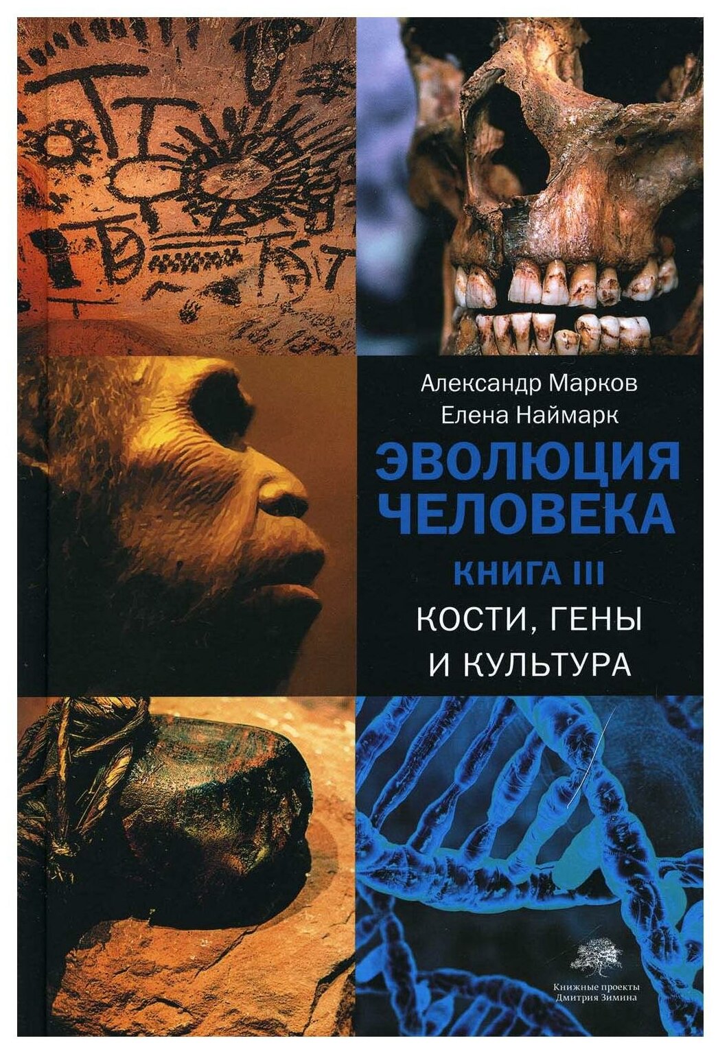 Эволюция человека. [В 3 кн.] Кн. 3. Кости, гены и культура - фото №1