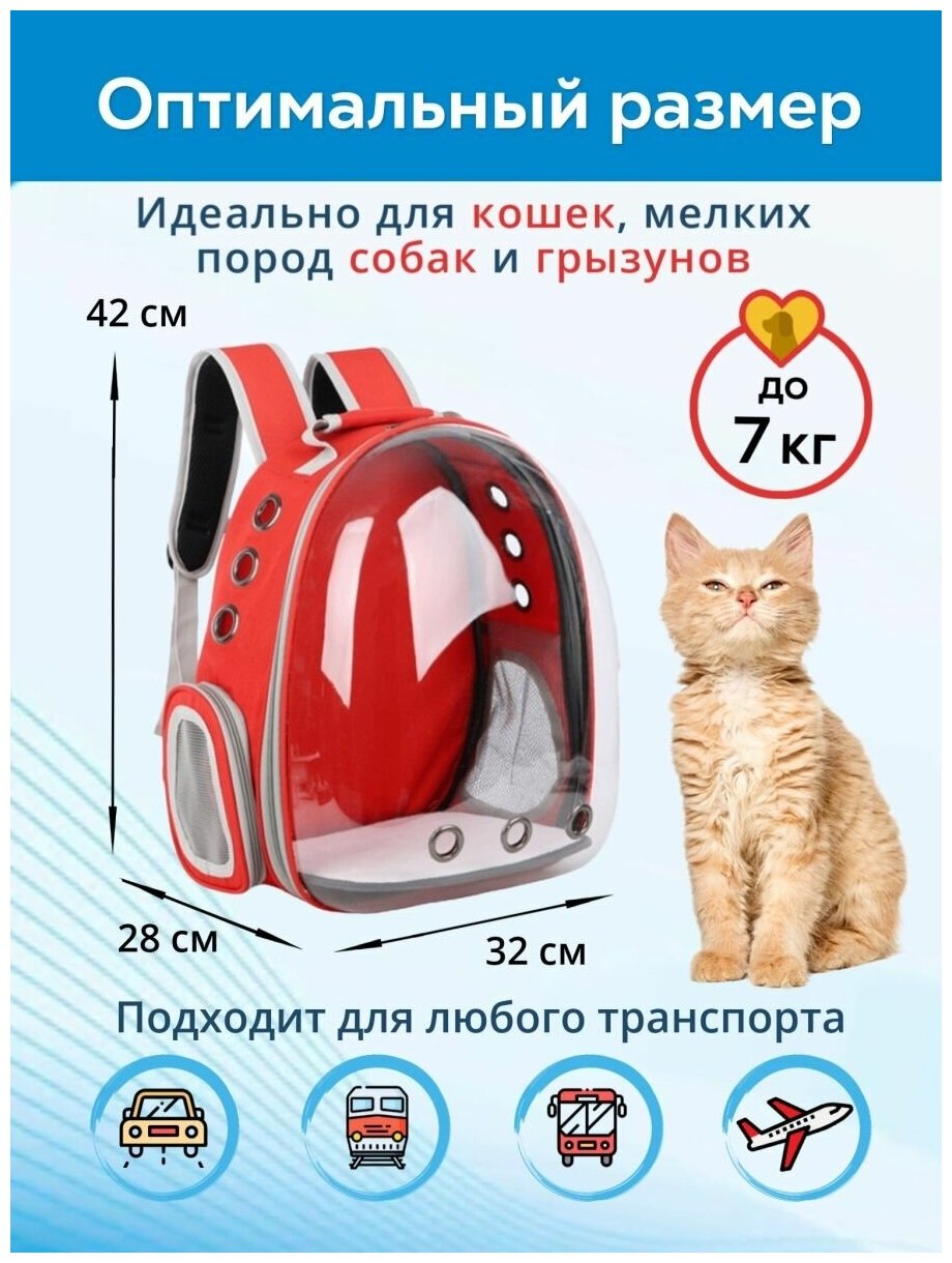 Рюкзак переноска для кошек, собак и грызунов / Рюкзак с иллюминатором для животных до 7 кг - фотография № 2