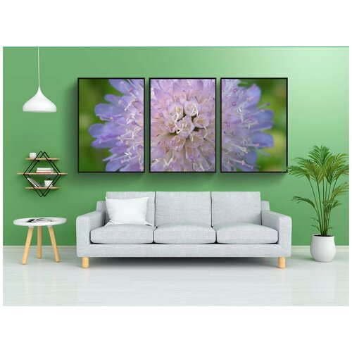 фото Набор модулных постеров для интерьера "цветок, красивая, симметричный" 60x90 см. в тубусе, без рамки lotsprints