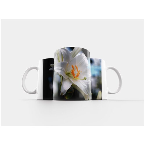 фото Кружка "цветок, природа, растение" 320 мл lotsprints