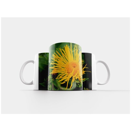 фото Кружка "цветок, желтый, сад" 320 мл lotsprints