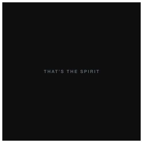 Sony Music Bring Me The Horizon. That's The Spirit bring me the horizon – that s the spirit