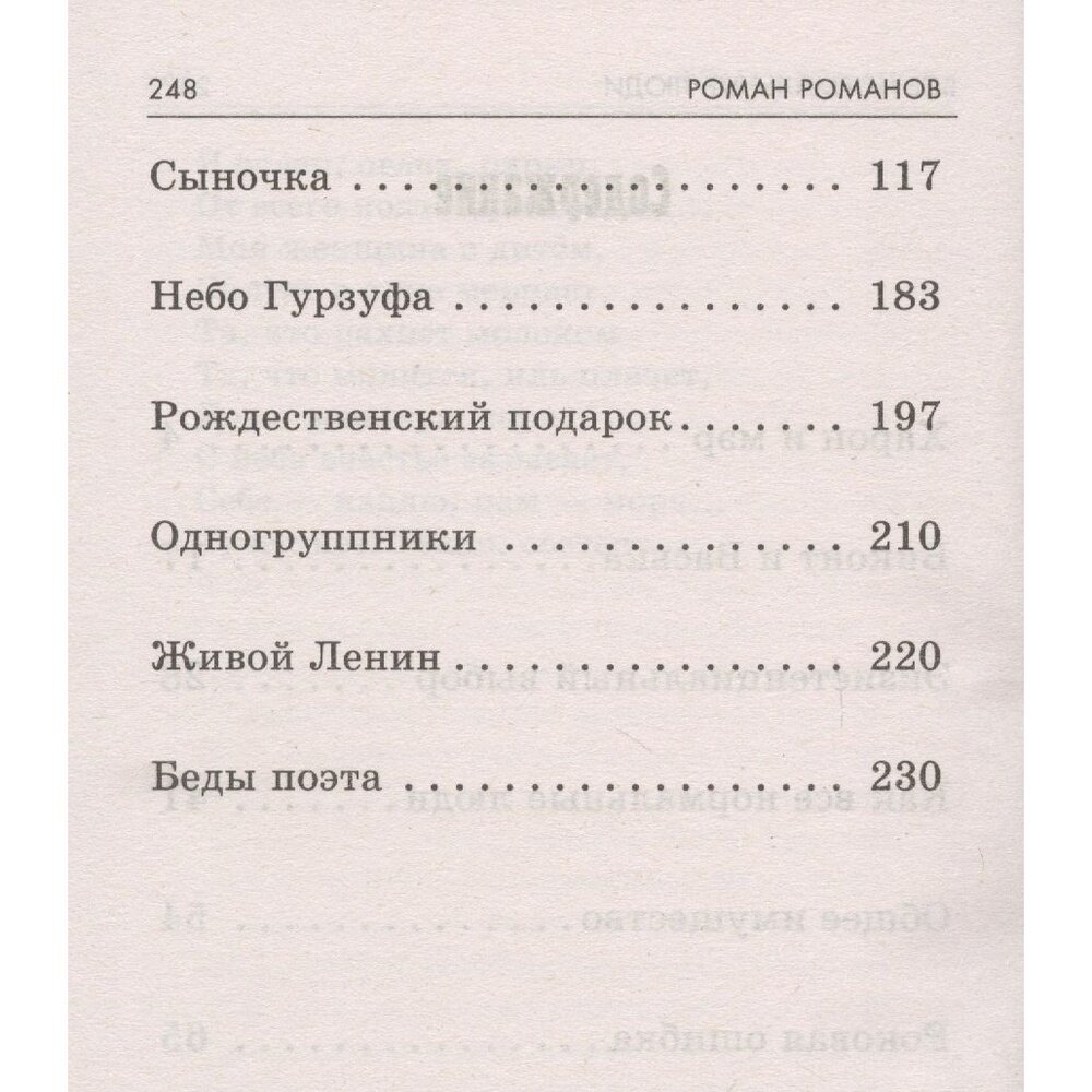 Власть. Все нормальные люди (Романов Роман Николаевич) - фото №4