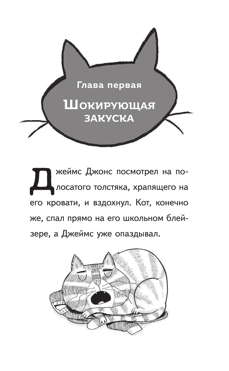 Суперкот и Картофельный вор (Жанна Уиллис) - фото №17
