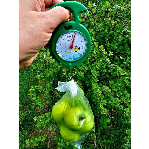 Весы кухонные механические бытовые до 10 кг пластик зеленый весы безмен ручной электронный до 50кг