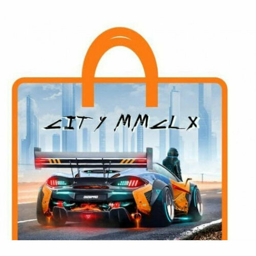 Папка школьная для тетрадей А4 на молнии с ручками 