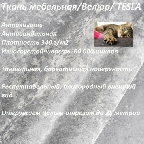 Ткань мебельная 100KOVROV антикоготь Велюр TESLA_16 светло-серый