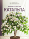 катальпа