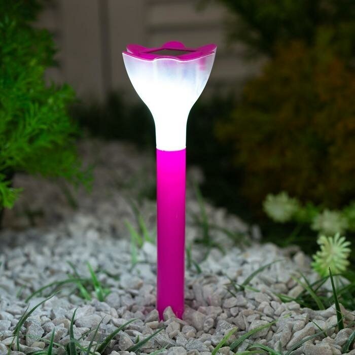 Садовый светильник Uniel Pink Crocus на солнечной батарее 6 × 20 × 6 см свечение белое