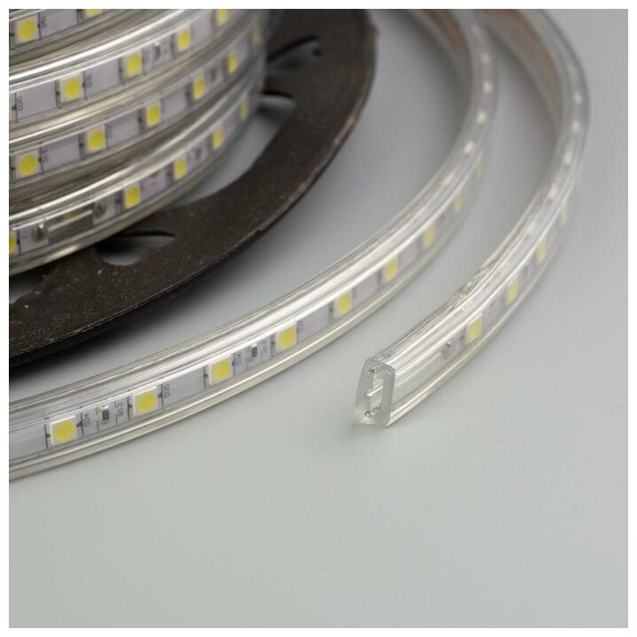 Светодиодная лента Ecola STD, 220В, SMD5050, 50 м, IP68, 14.4Вт/м, 60 LED/м, 6000К - фотография № 4