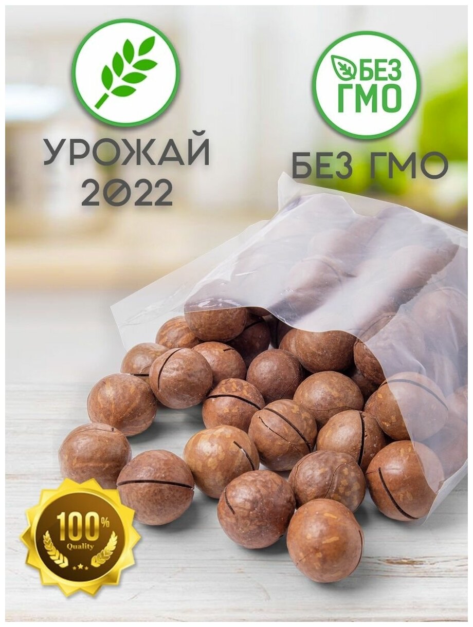 Макадамия орех в скорлупе 1 кг 500 гр - фотография № 2
