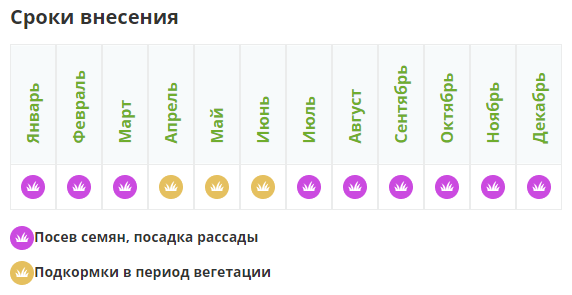 Удобрение Фертика, Кристалон для Клубники и Земляники, 2л - фотография № 3