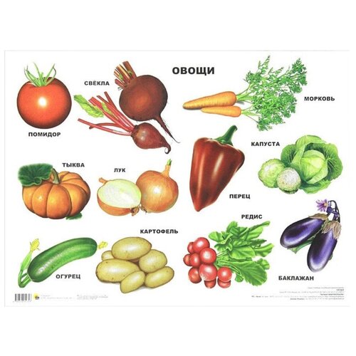 Плакат Проф-Пресс Овощи плакат проф пресс овощи