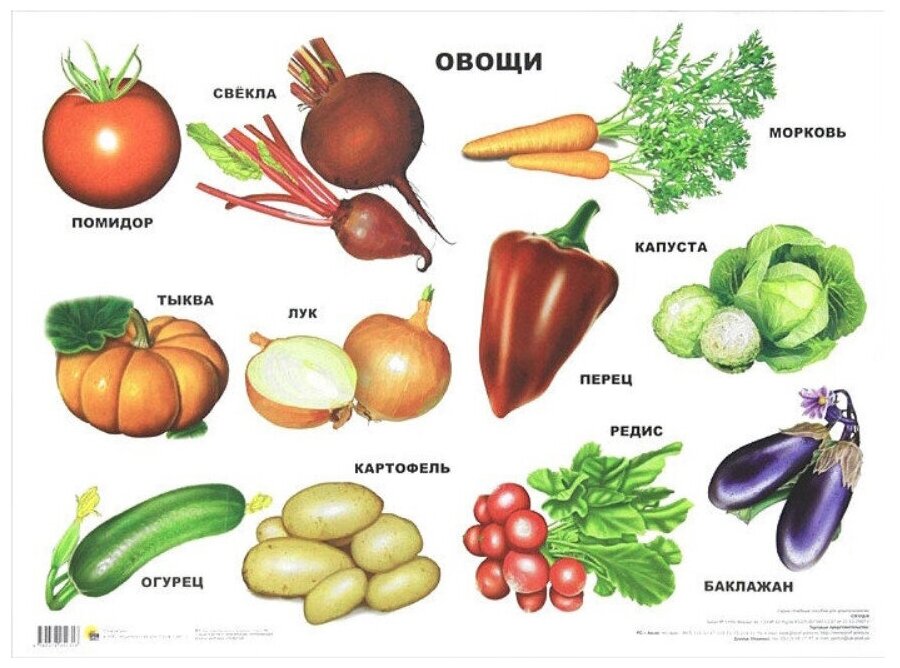 Карх Ш. Плакат "Овощи". Плакаты на картоне