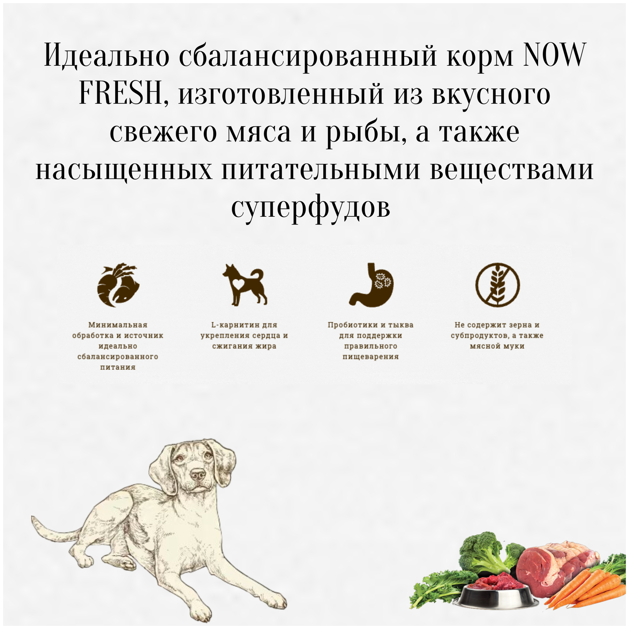 Сухой корм для пожилых собак NOW FRESH лосось, утка, индейка 1 уп. х 1 шт. х 5.45 кг - фотография № 11