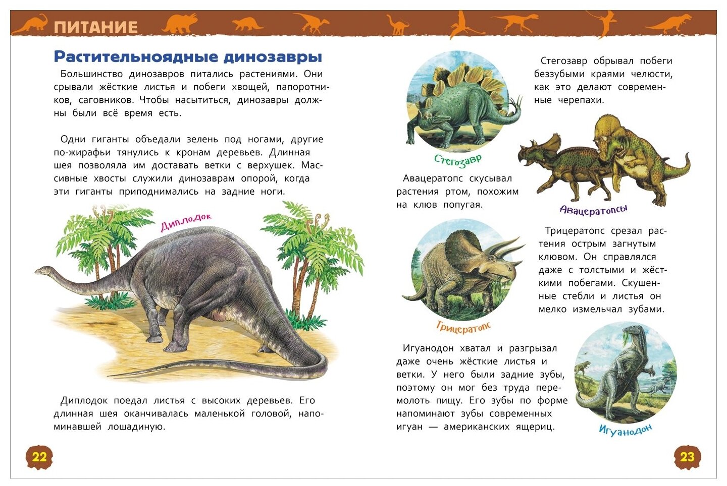 Динозавры. Энциклопедия для детского сада - фото №3