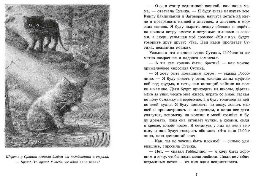 Гобболино - ведьмин кот (Уильямс У.) - фото №2