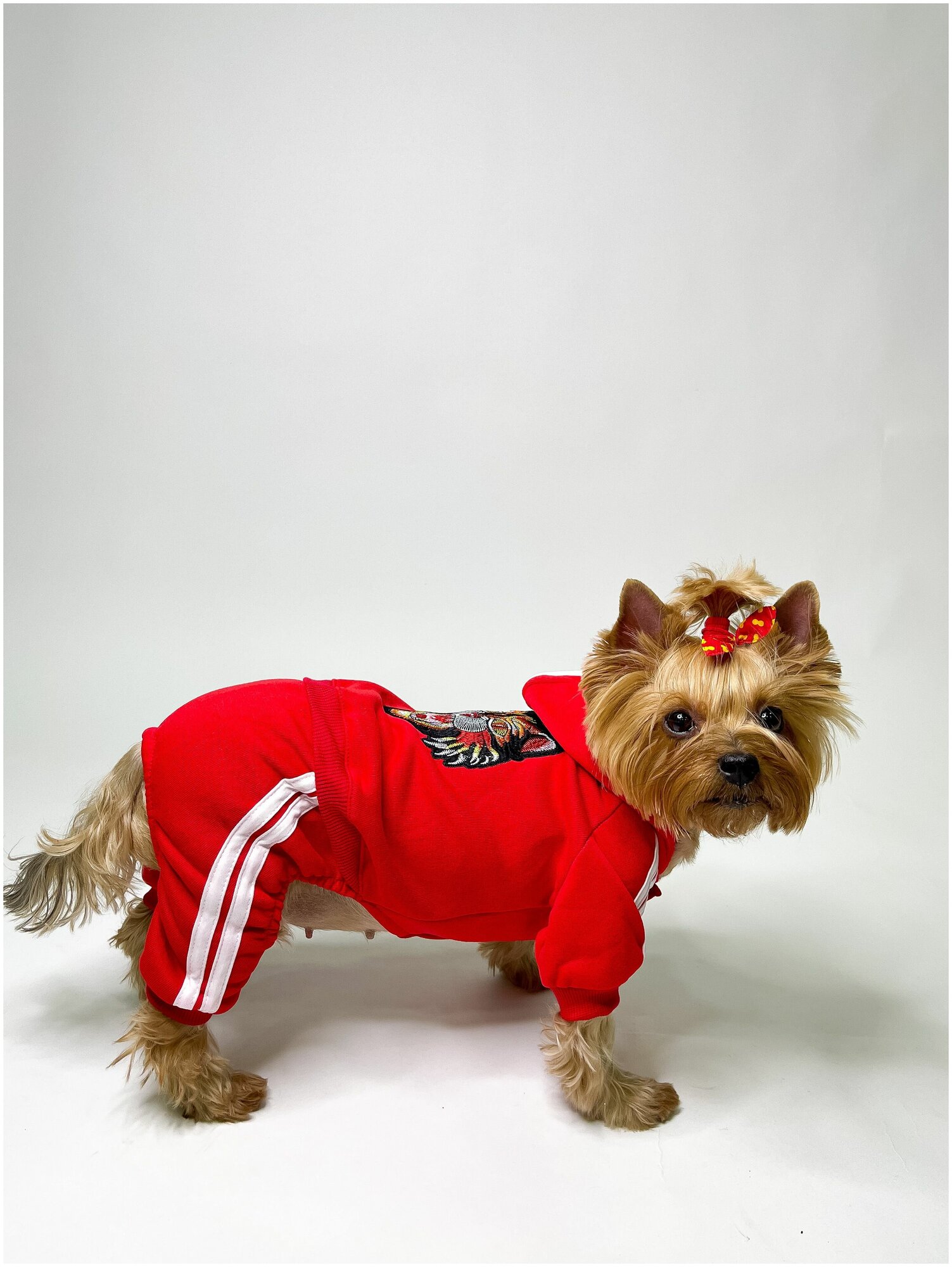 Спортивный костюм для собак / На флисе / Унисекс / Размер S / Одежда для собак / Красный цвет - фотография № 6