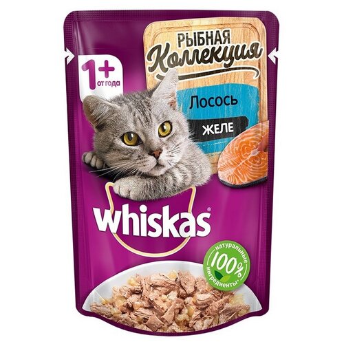 Whiskas влажный корм для кошек, рыбная коллекция, лосось в желе (28шт в уп) 75 гр