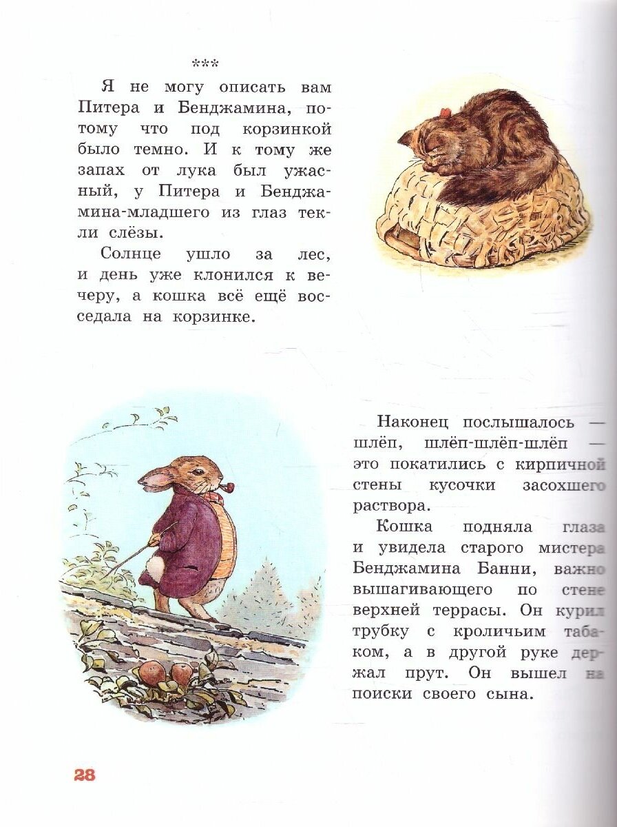 Питер-кролик (Детская библиотека на все времена) - фото №5