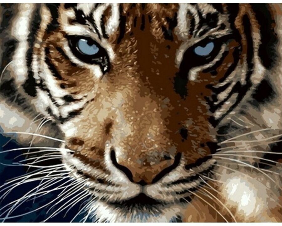 Картина по номерам Взгляд тигра 40х50 см Art Hobby Home