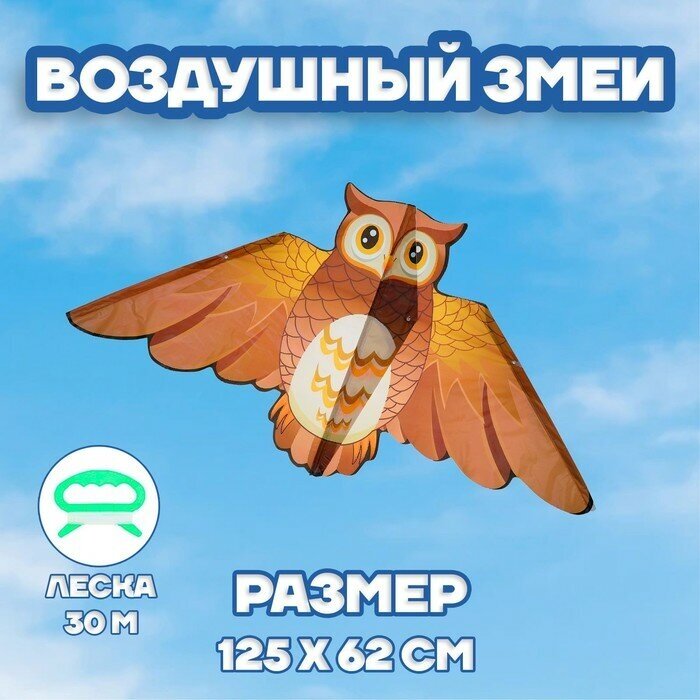 Funny toys Воздушный змей «Сова», с леской