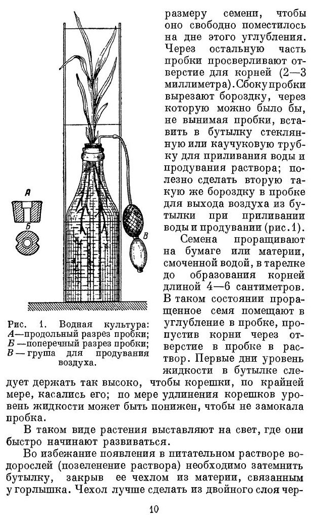 Книга Занимательная агрономия (Дояренко Алексей Григорьевич) - фото №7