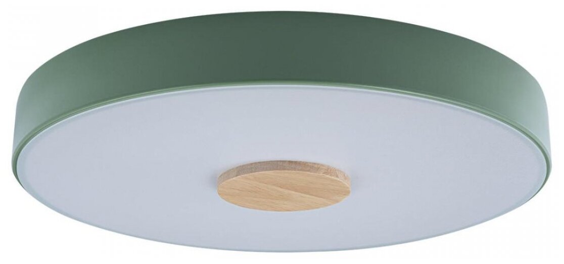 фото Потолочный светильник LOFT IT Axel 10003/24, G9