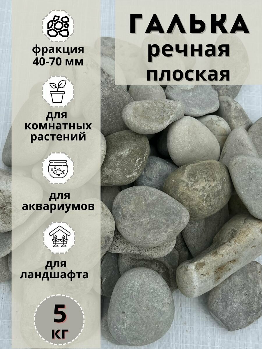 Галька речная светлая плоская 40-70мм (5кг) Грунт для аквариума/террариума