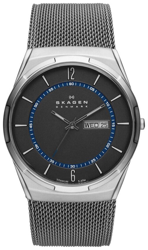 Наручные часы SKAGEN SKW6078, серый