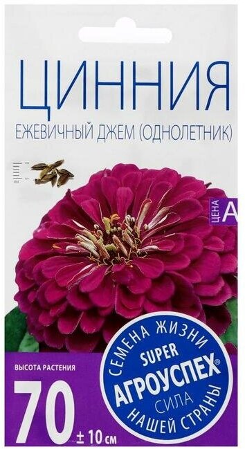 Семена цветов Цинния "Ежевичный джем", пурпурная, О, 0,3 г