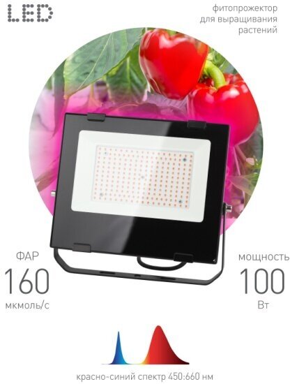 Прожектор для растений Эра FITO-100W-Ra90-LED красно-синего спектра