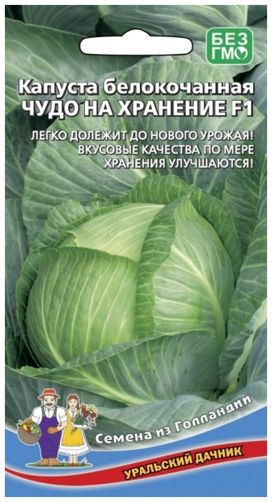 Семена Уральский дачник из Голландии Капуста белокочанная Чудо на хранение F1 03 г