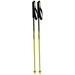 Горнолыжные палки COBER Bostone ride giraffa 18 mm (см:100)