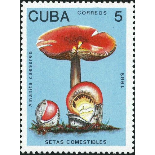 (1989-008) Марка Куба Мухомор императорский Съедобные грибы III Θ