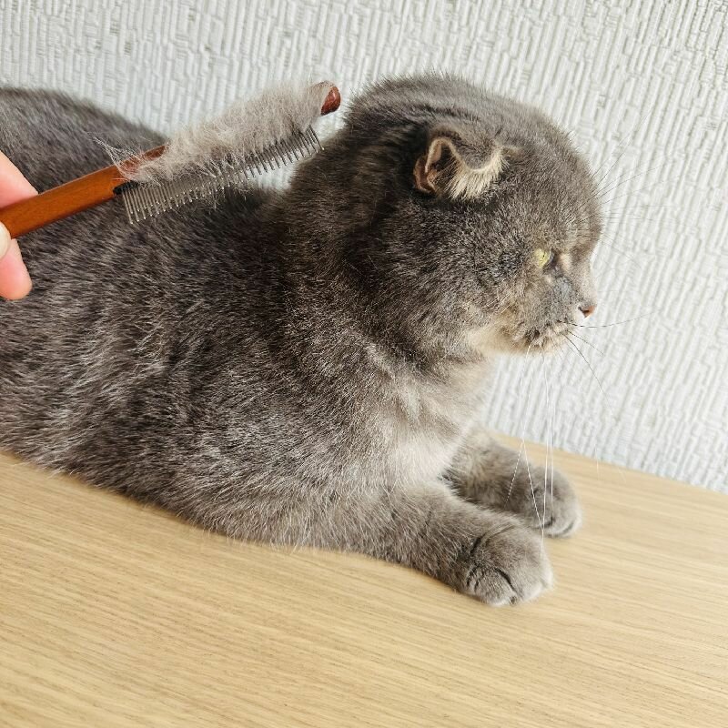 Расческа с деревянной ручкой для вычесывания собак и кошек - фотография № 7