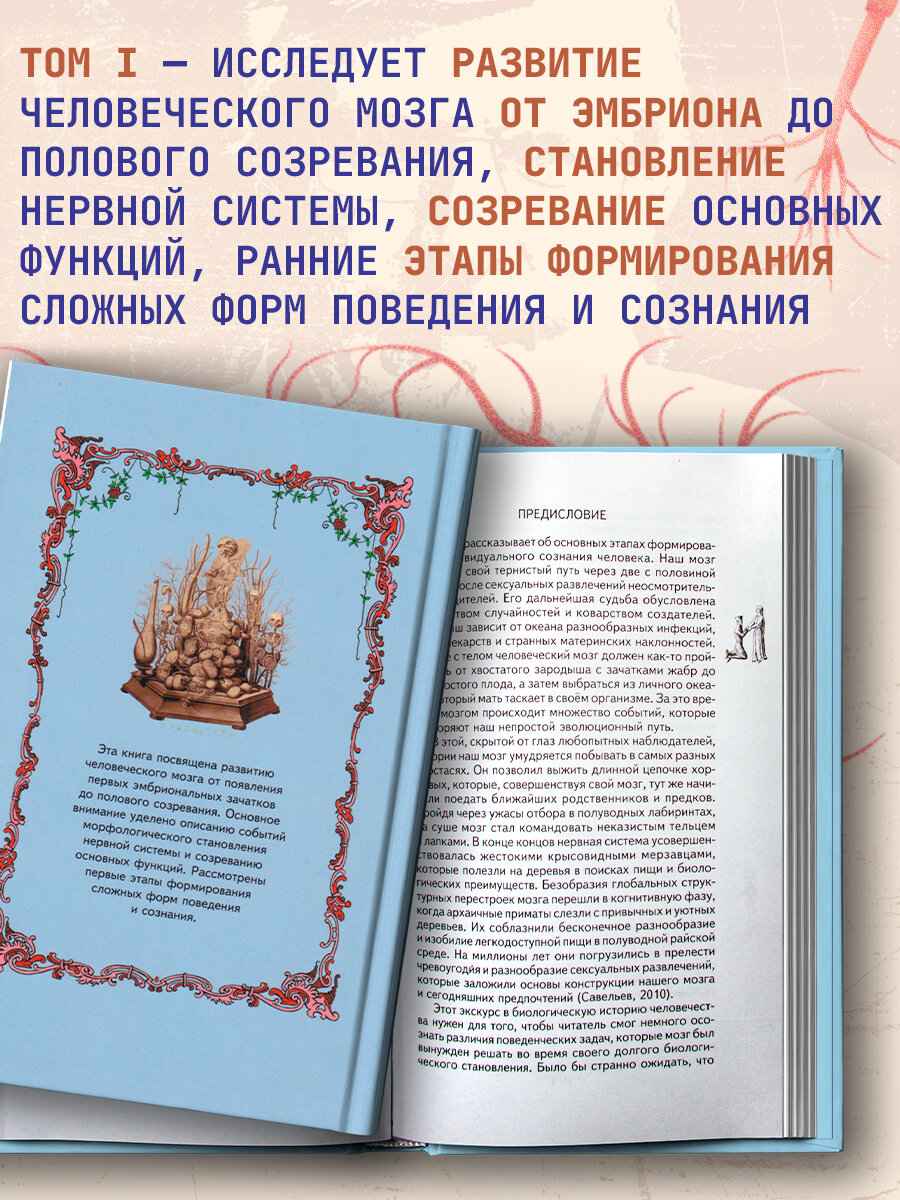 Книга Морфология сознания. 3-е издание, исправленное и дополненное. Том 1. Савельев Сергей
