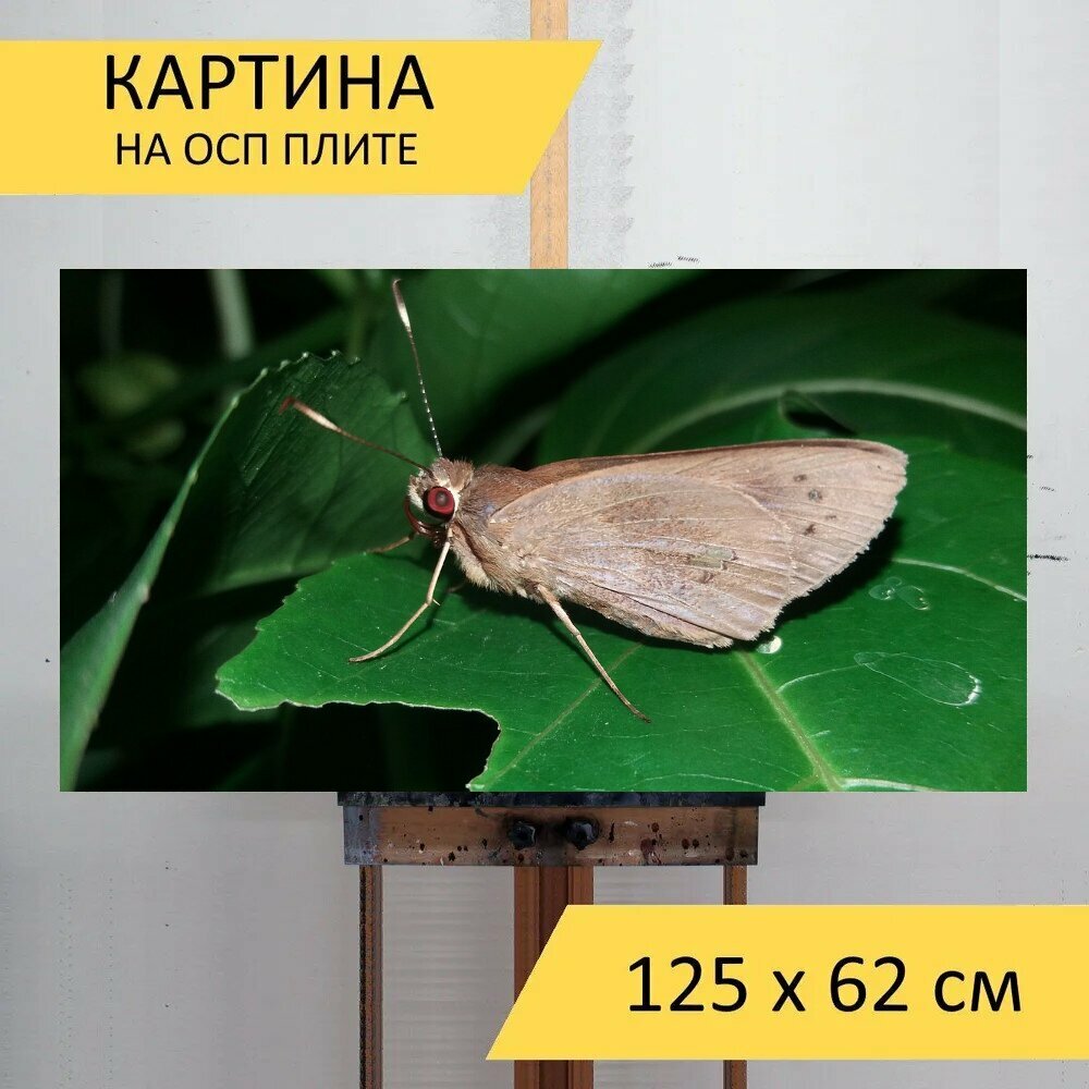 Картина на ОСП "Насекомое, природа, дикая жизнь" 125x62 см. для интерьера на стену