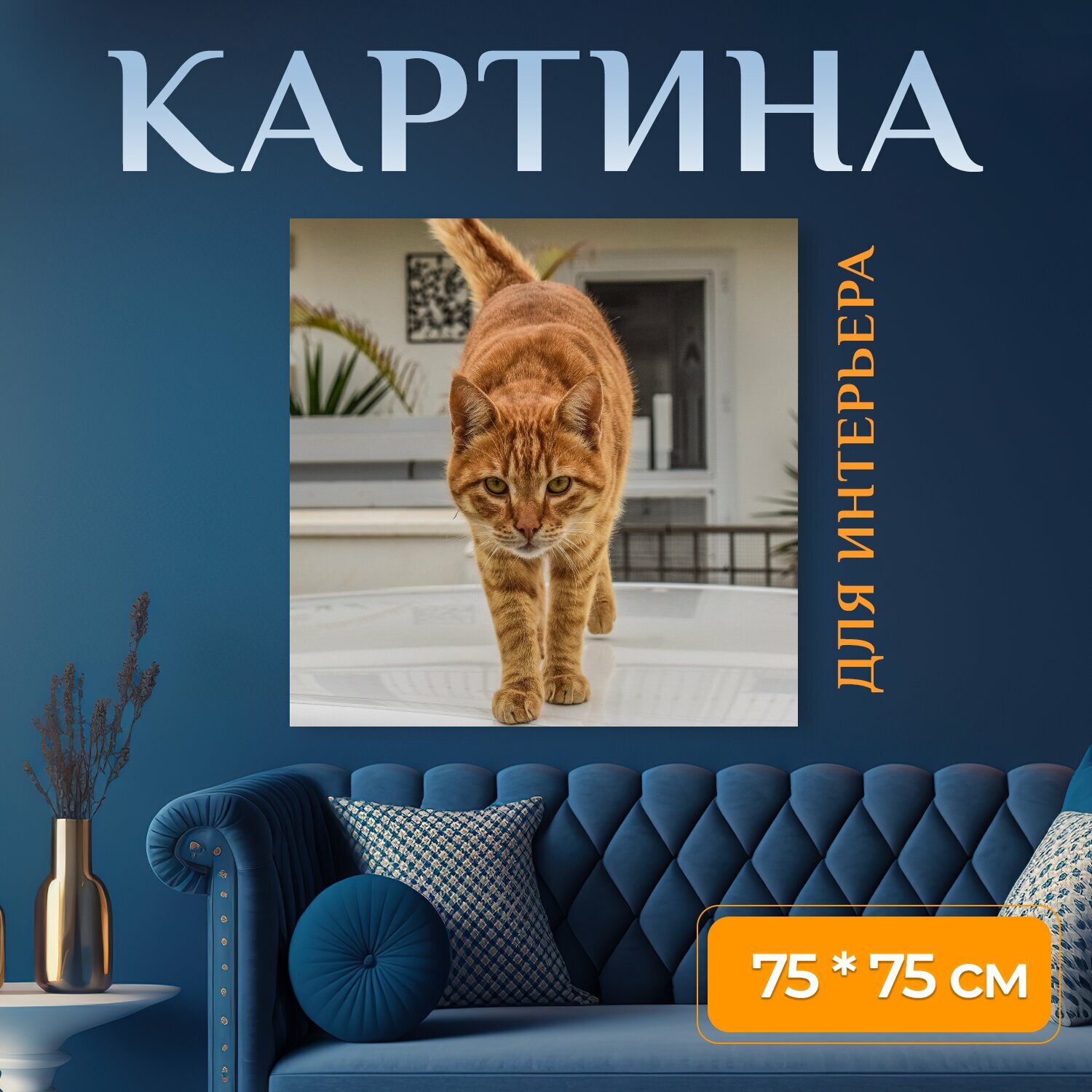 Картина на холсте "Кошка одомашненный животное" на подрамнике 75х75 см. для интерьера