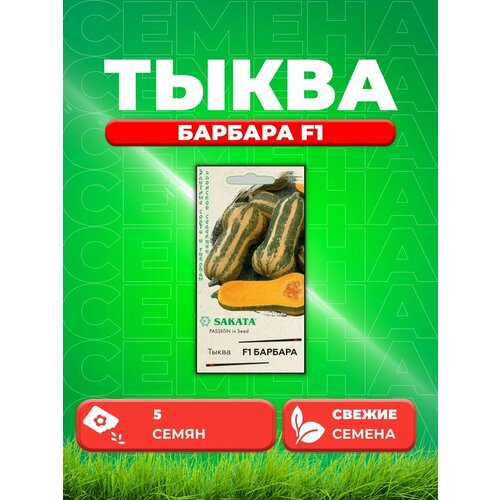 Тыква Барбара F1, мускатная 5 шт.(Саката)