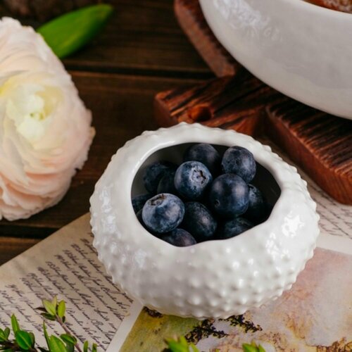 Соусник морской ёж ручной работы VELES Звезда Элендиля фарфор 1793₽