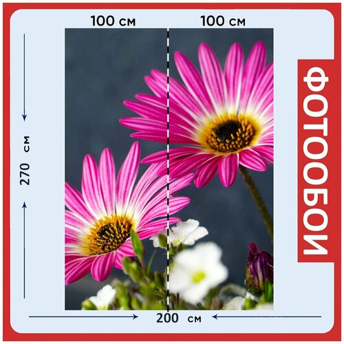 Фотообои Цветок розовый весна 200x270 см флизелиновыена стену 2970₽